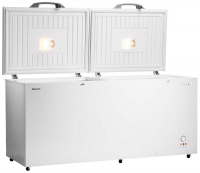 Морозильная камера Hisense FC-66DD4SA